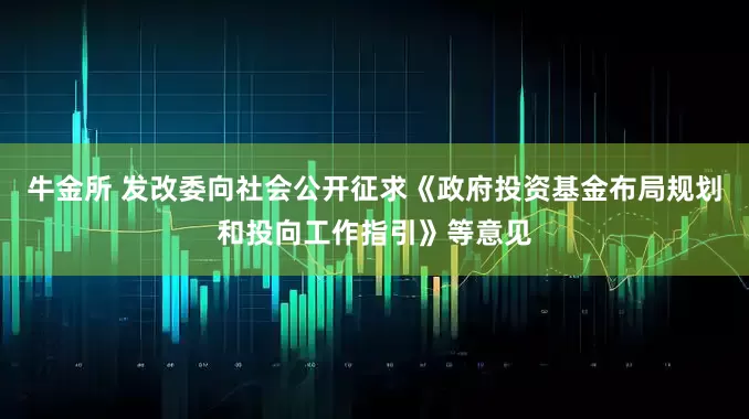 牛金所 发改委向社会公开征求《政府投资基金布局规划和投向工作指引》等意见